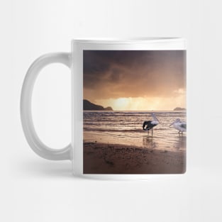 Pelicans At Sunrise Mug